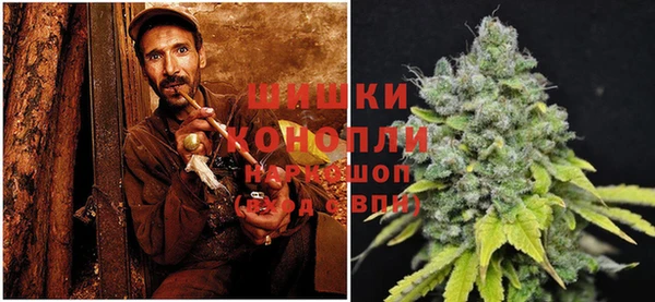 spice Армянск