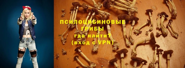 spice Армянск