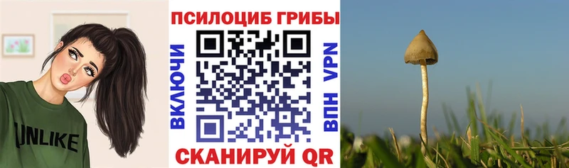 гидра ссылки  магазин    Тогучин  Псилоцибиновые грибы мицелий 