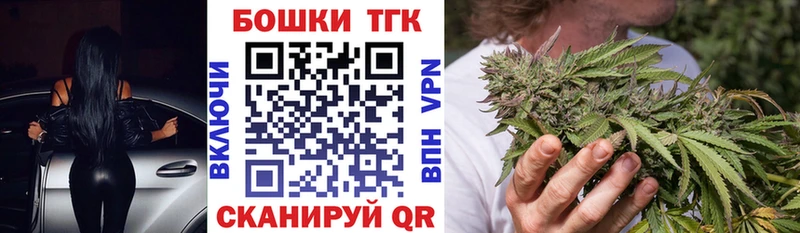Бошки Шишки планчик Тогучин